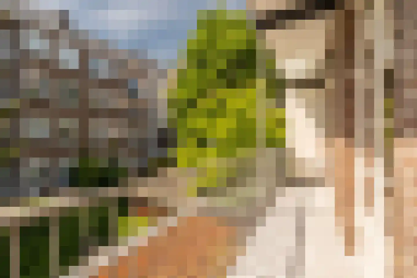 Hestiastraat 69 1 Amsterdam thumbnail 16