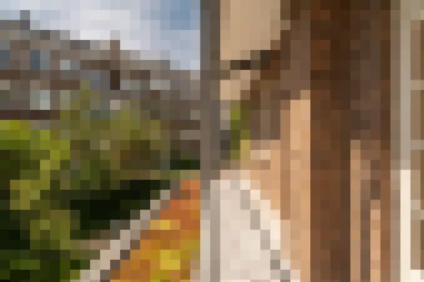 Hestiastraat 69 1 Amsterdam thumbnail 33