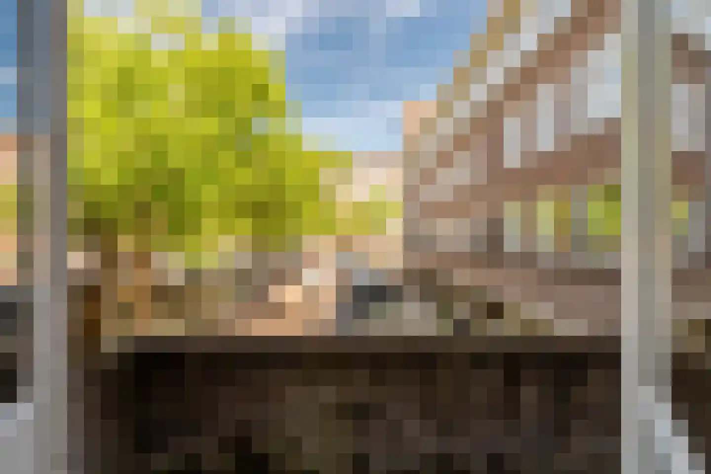 Hestiastraat 69 1 Amsterdam thumbnail 8