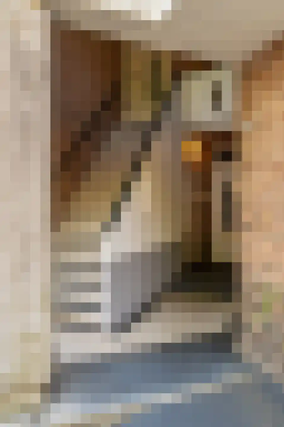 Hestiastraat 69 1 Amsterdam thumbnail 9