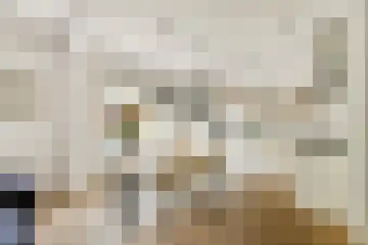 Hestiastraat 77 2 Amsterdam thumbnail 15