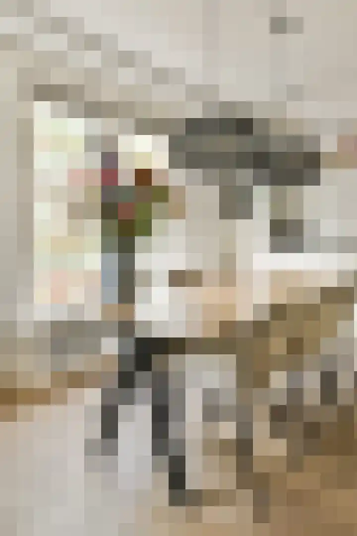 Hestiastraat 77 2 Amsterdam thumbnail 16