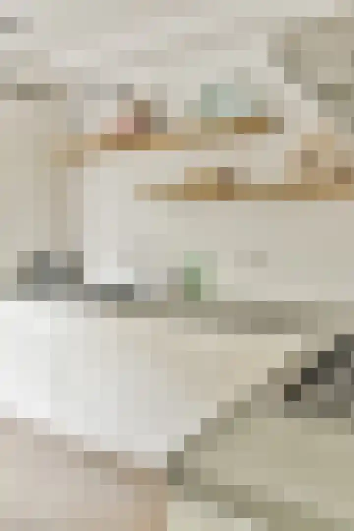 Hestiastraat 77 2 Amsterdam thumbnail 17