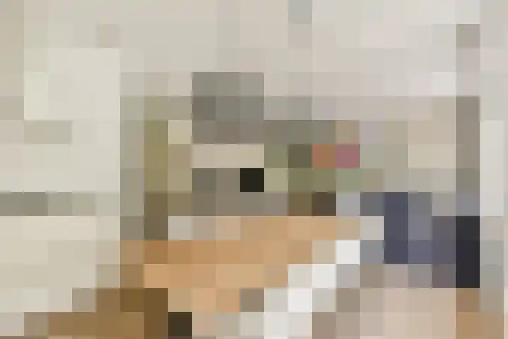 Hestiastraat 77 2 Amsterdam thumbnail 18