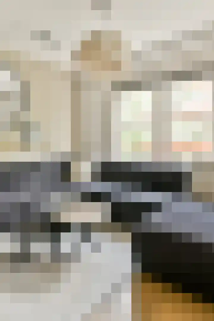 Hestiastraat 77 2 Amsterdam thumbnail 20