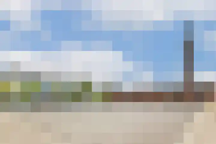 Hestiastraat 77 2 Amsterdam thumbnail 22