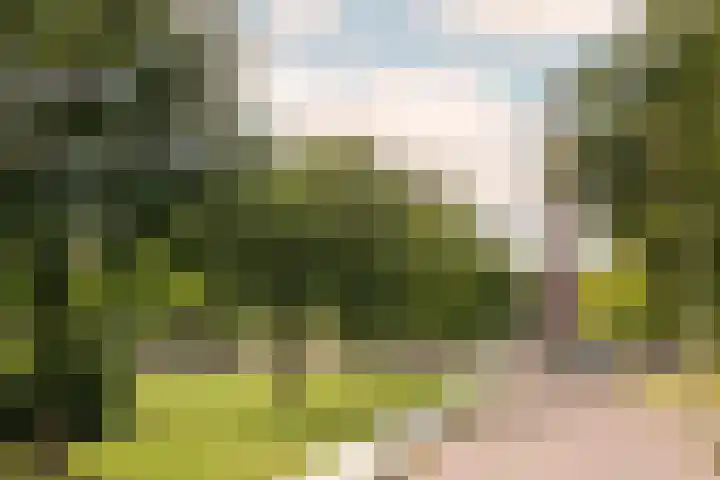 Hestiastraat 77 2 Amsterdam thumbnail 26