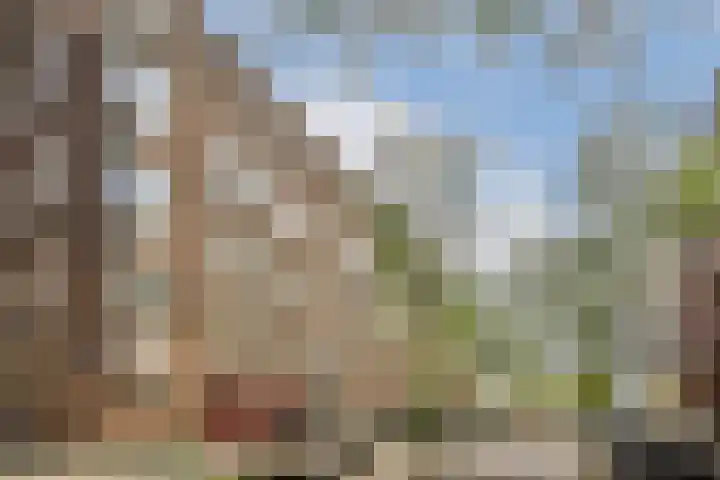 Hestiastraat 77 2 Amsterdam thumbnail 32