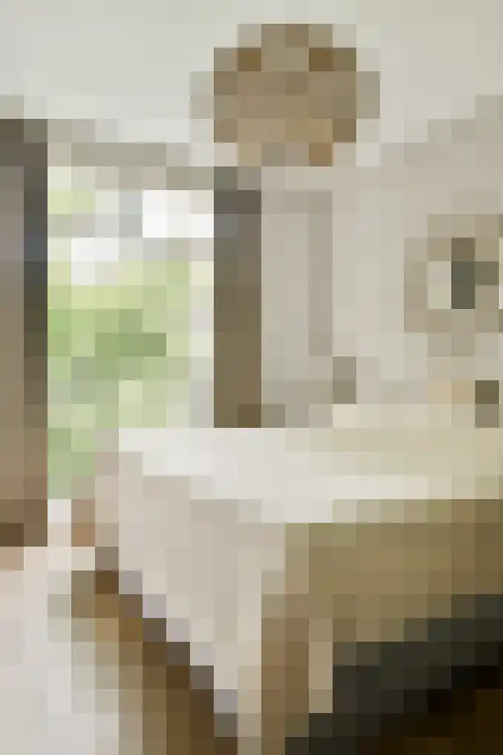Hestiastraat 77 2 Amsterdam thumbnail 5