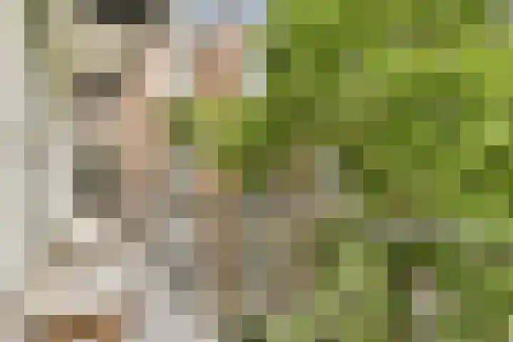 Hestiastraat 77 2 Amsterdam thumbnail 9