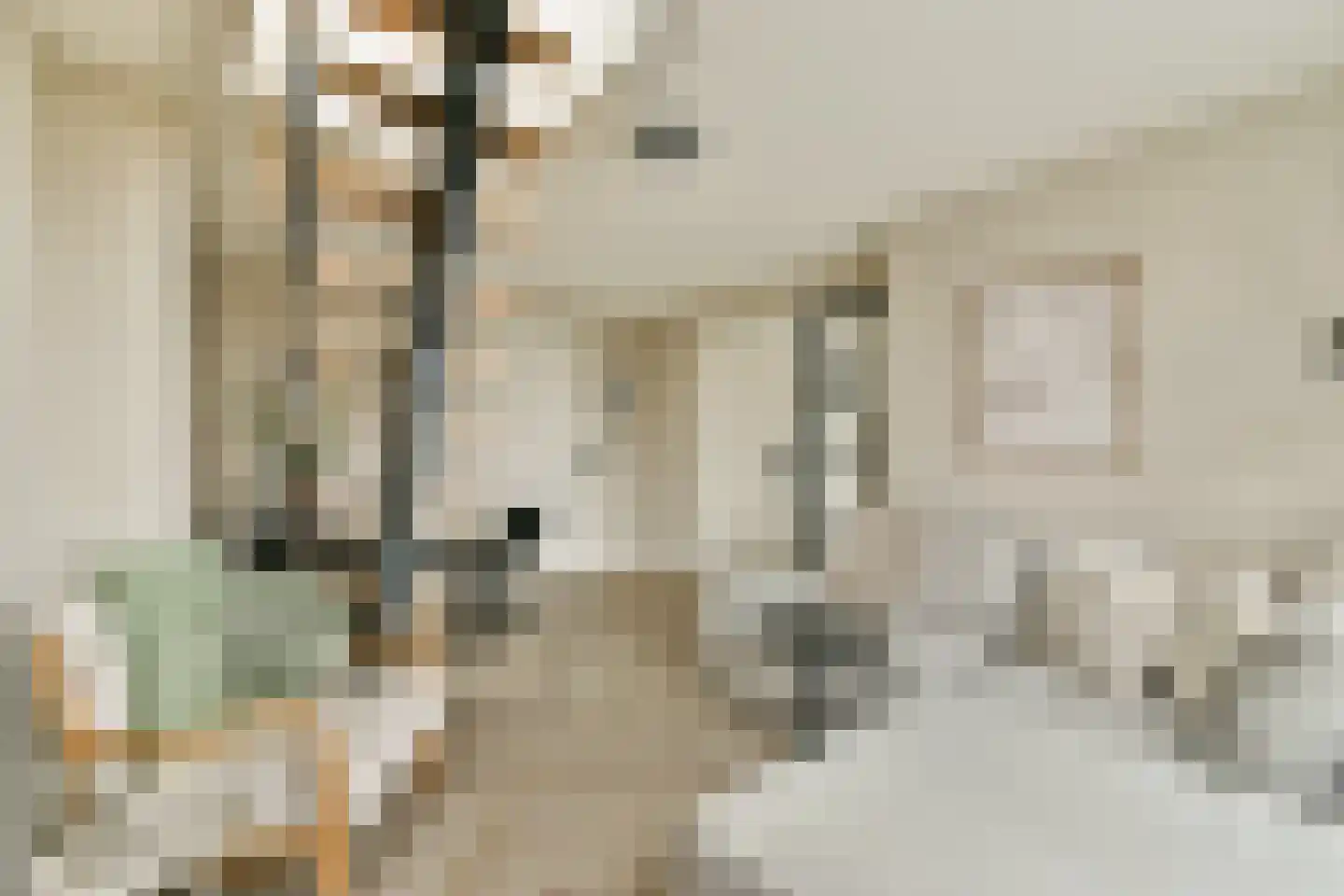 Hestiastraat 77 4 Amsterdam thumbnail 4