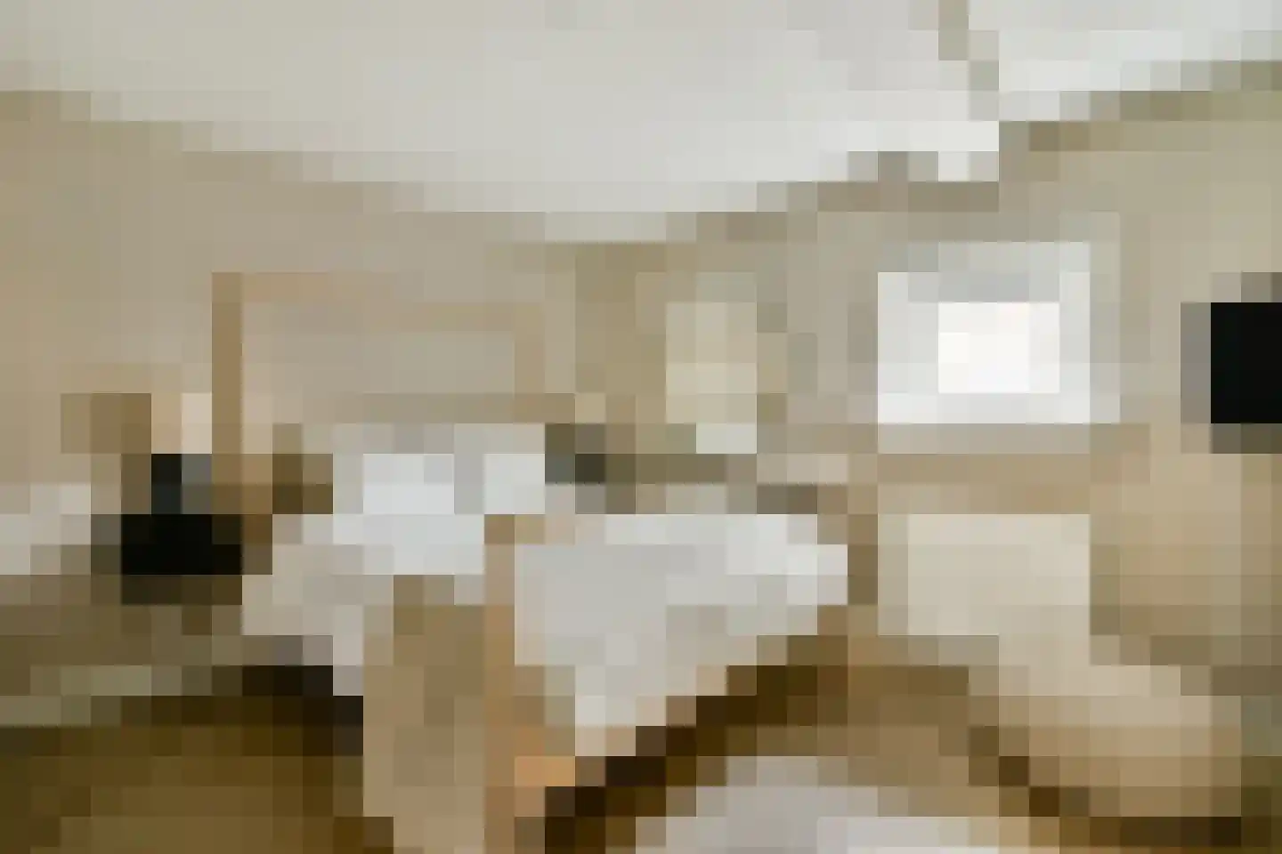 Hestiastraat 77 4 Amsterdam thumbnail 8
