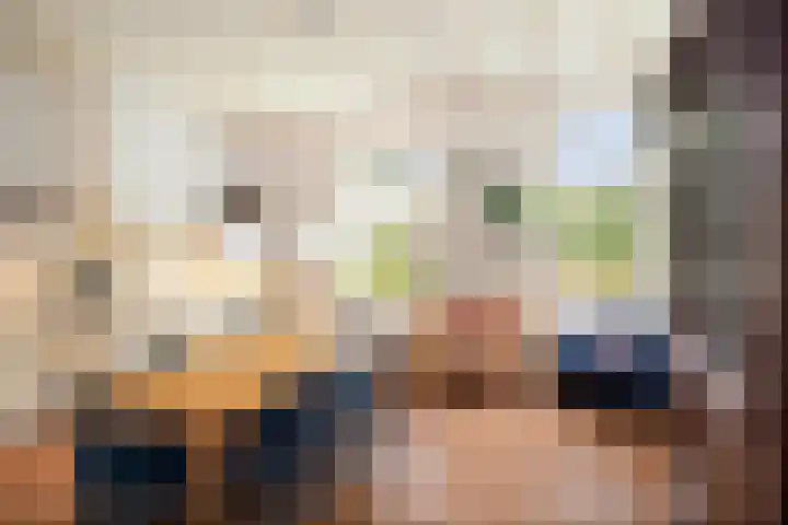 Het Aamschot 5 Haarlo thumbnail 24