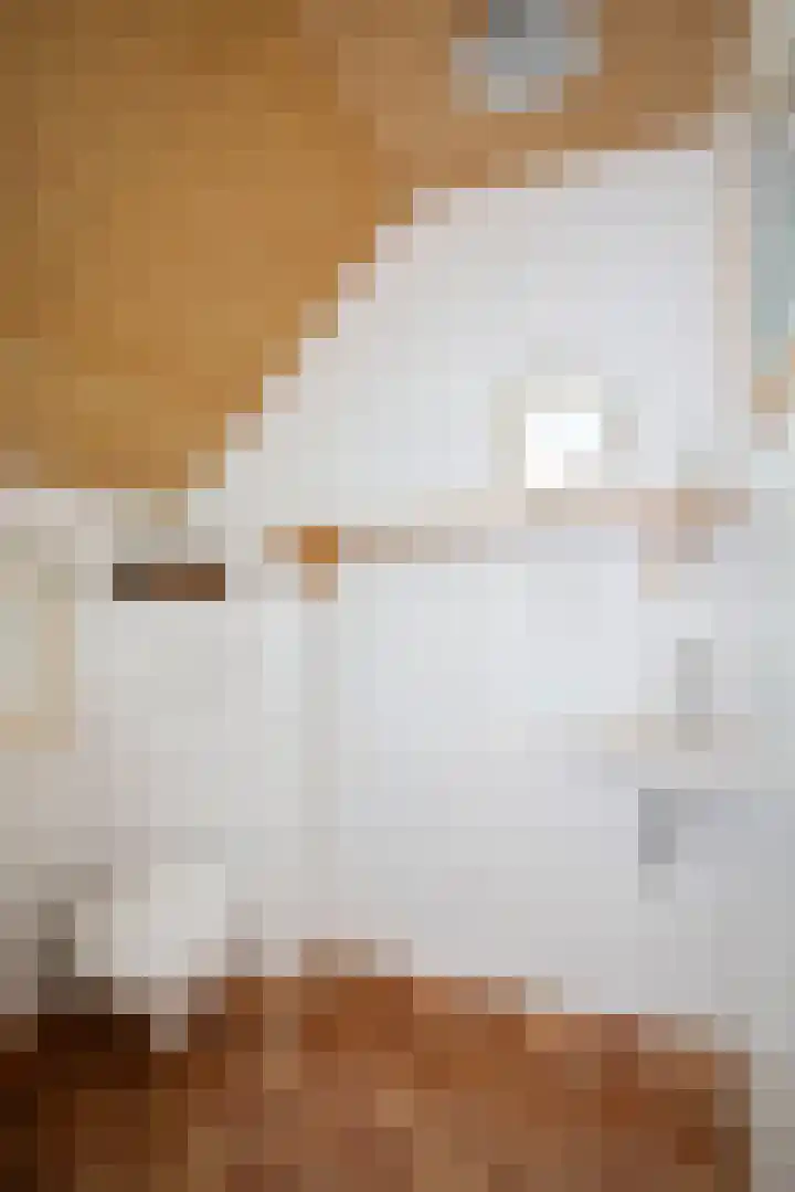 Het Aamschot 5 Haarlo thumbnail 38
