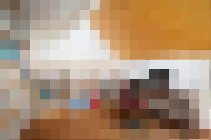 Het Aamschot 5 Haarlo thumbnail 41