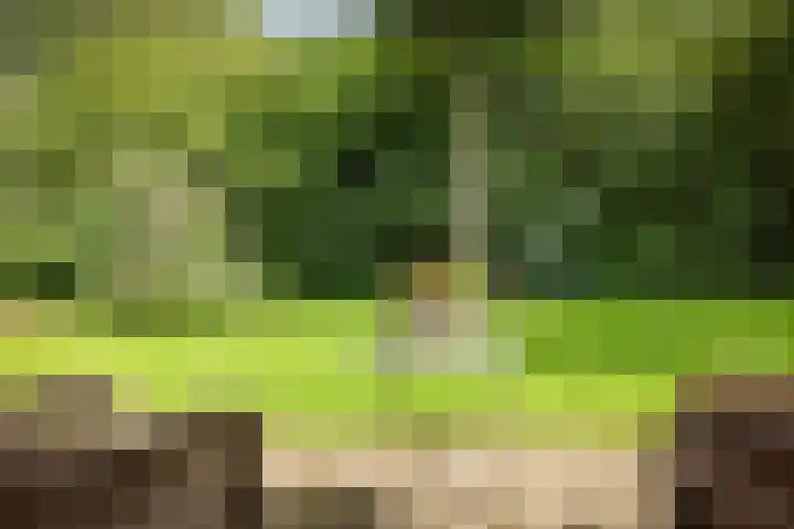 Het Aamschot 5 Haarlo thumbnail 49