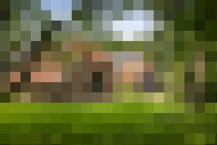 Het Aamschot 5 Haarlo thumbnail 5
