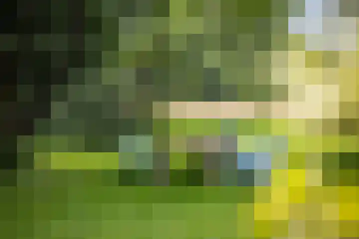Het Aamschot 5 Haarlo thumbnail 50