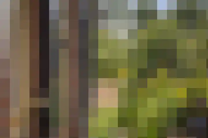 Het Aamschot 5 Haarlo thumbnail 54