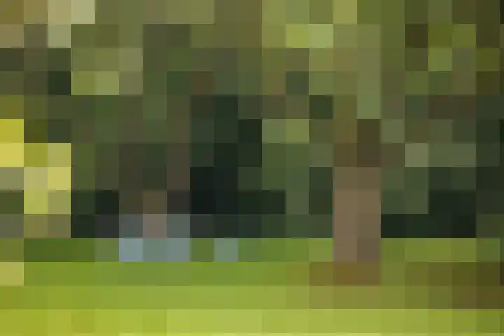 Het Aamschot 5 Haarlo thumbnail 56