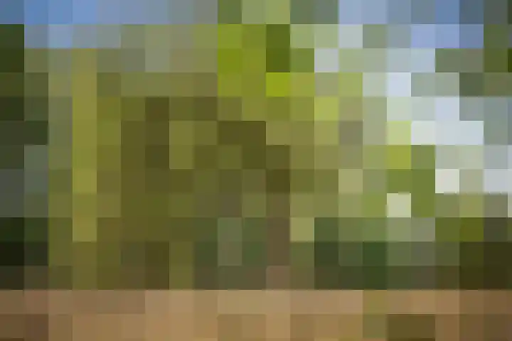 Het Aamschot 5 Haarlo thumbnail 64