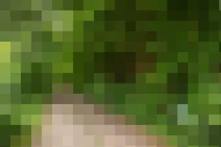 Het Aamschot 5 Haarlo thumbnail 65