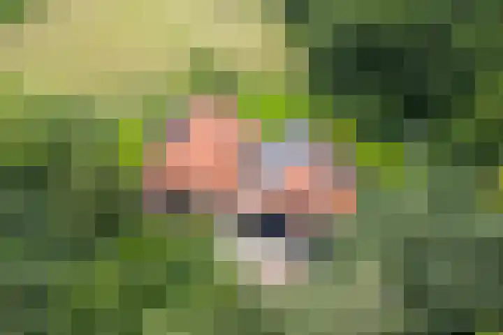 Het Aamschot 5 Haarlo thumbnail 66