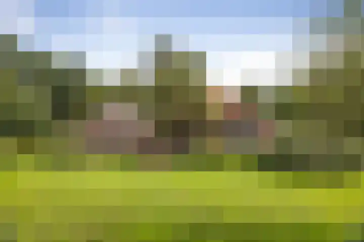 Het Aamschot 5 Haarlo thumbnail 7