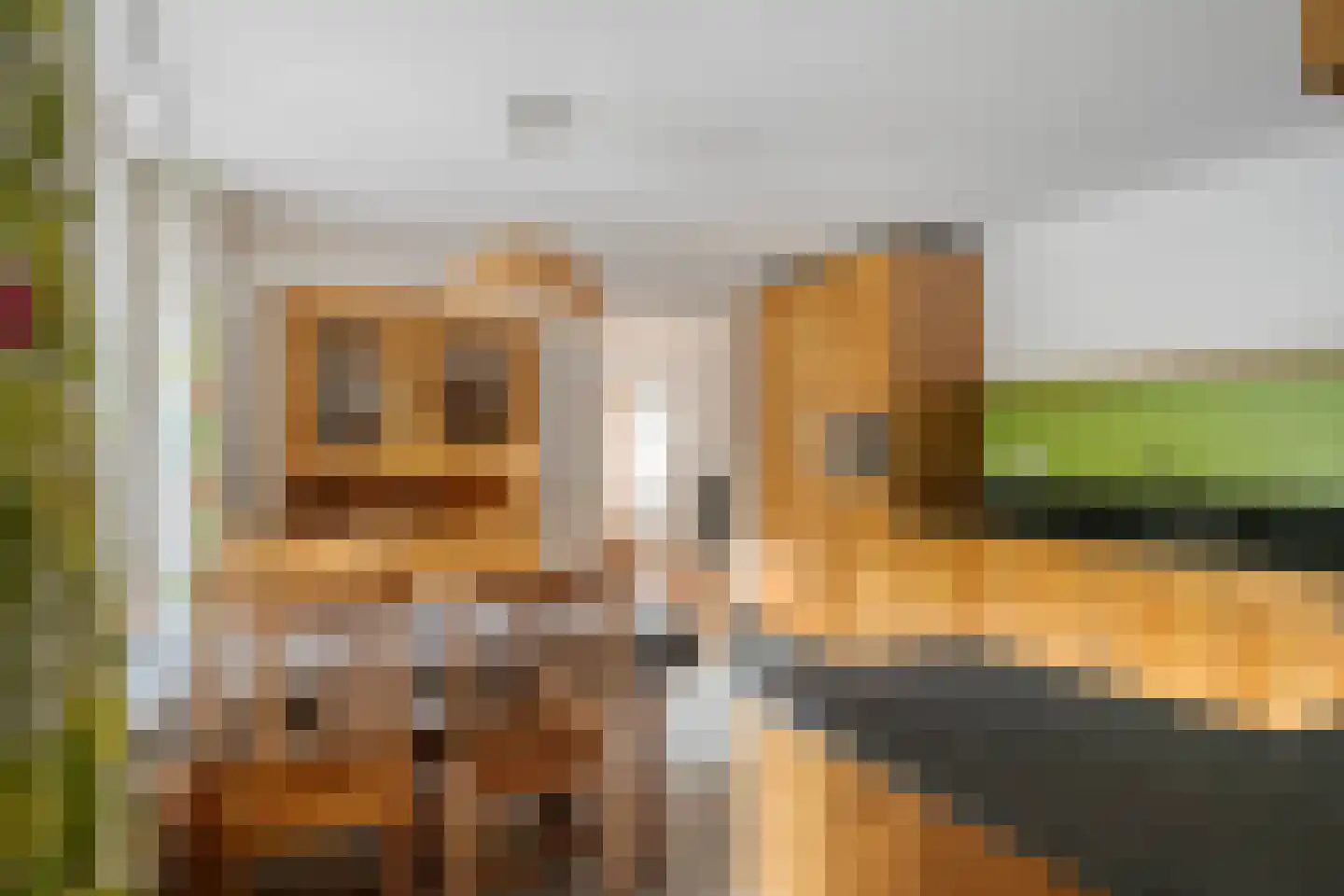 Het Aangelag 9 Bladel thumbnail 17