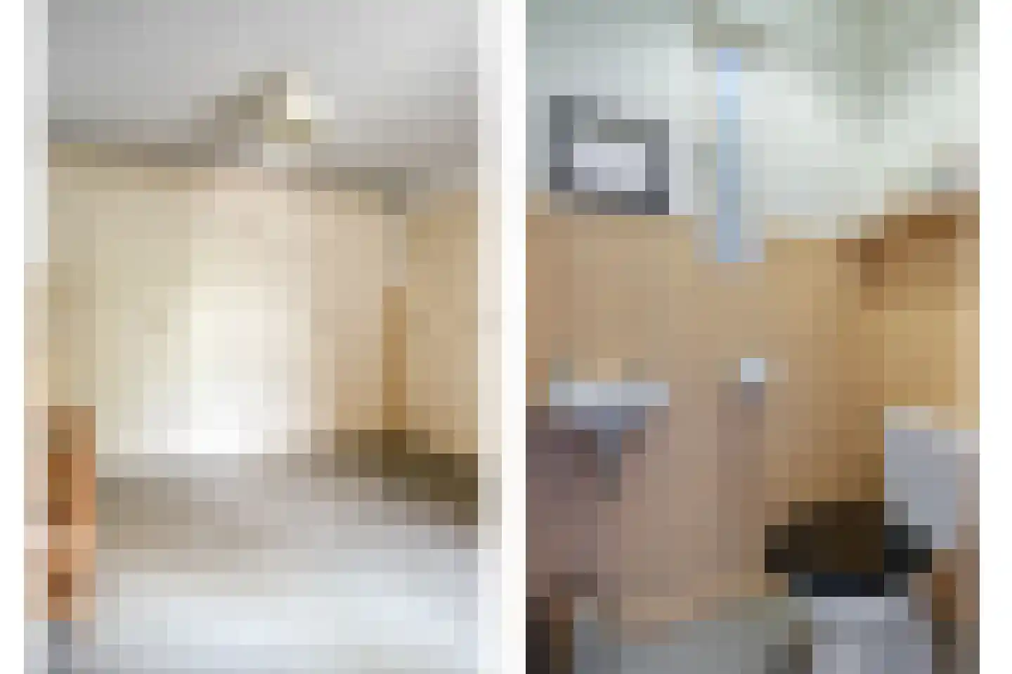 Het Aangelag 9 Bladel thumbnail 18