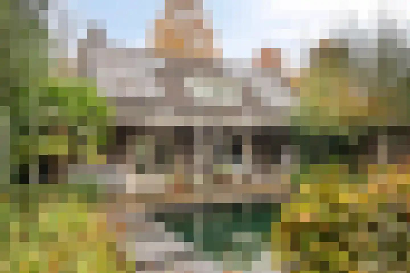 Het Aangelag 9 Bladel foto 2