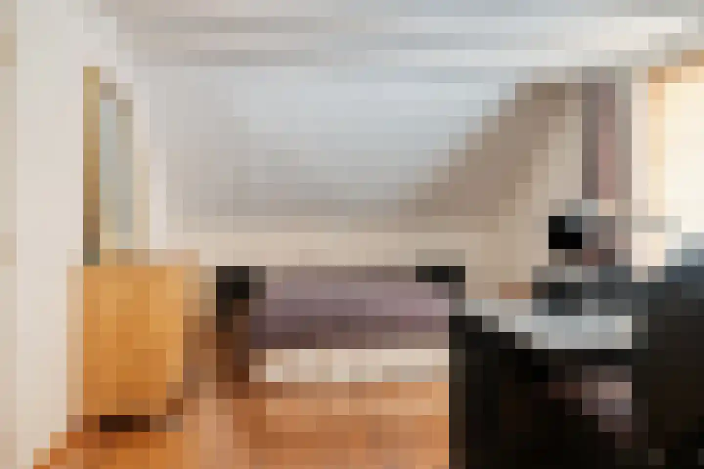 Het Aangelag 9 Bladel thumbnail 24