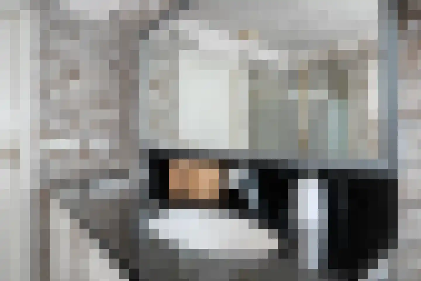 Het Aangelag 9 Bladel thumbnail 30