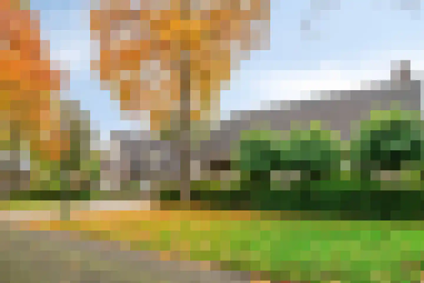 Het Aangelag 9 Bladel thumbnail 33