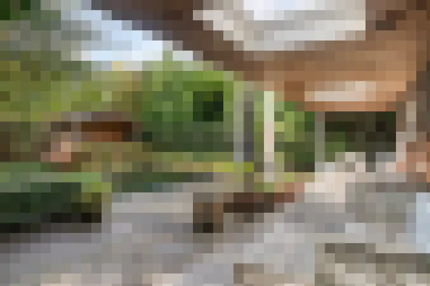 Het Aangelag 9 Bladel thumbnail 38
