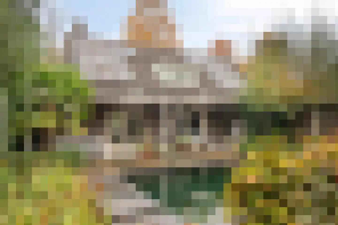 Het Aangelag 9 Bladel thumbnail 39