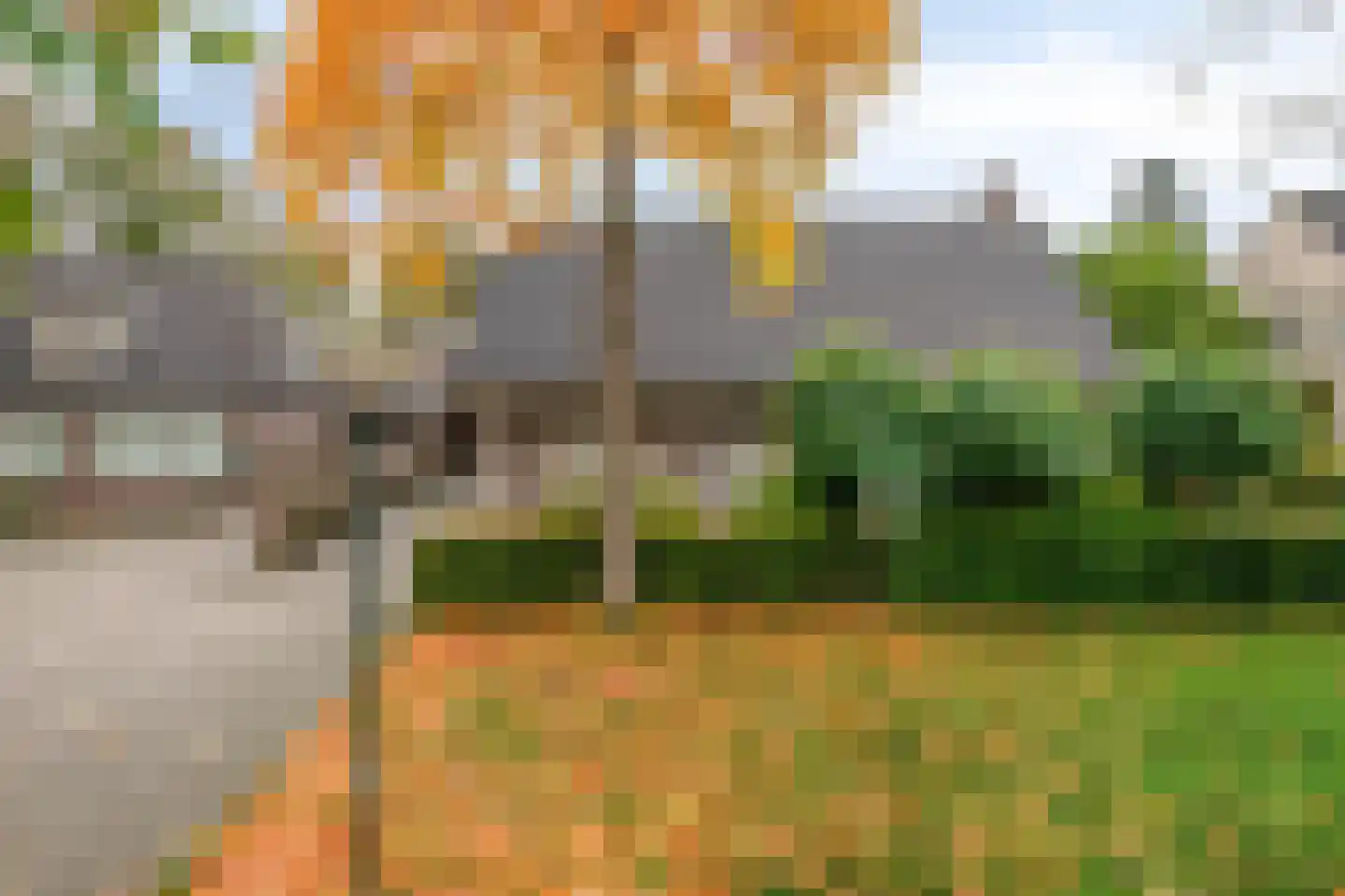 Het Aangelag 9 Bladel thumbnail 4