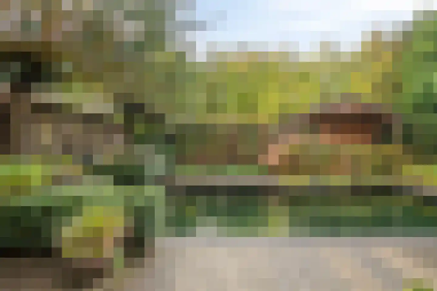 Het Aangelag 9 Bladel thumbnail 40