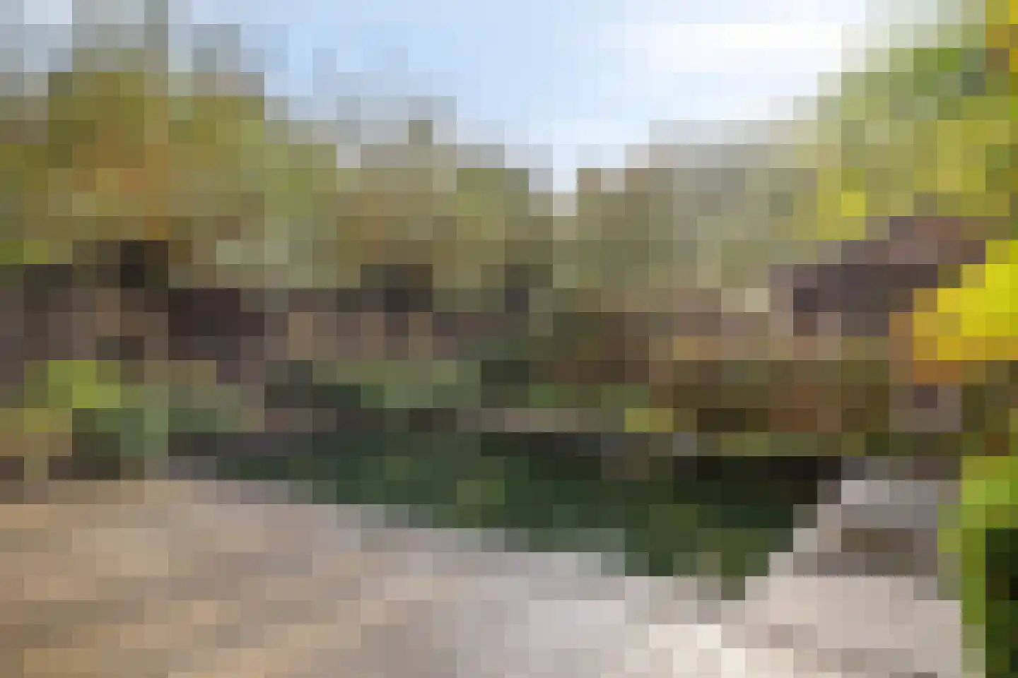 Het Aangelag 9 Bladel thumbnail 41