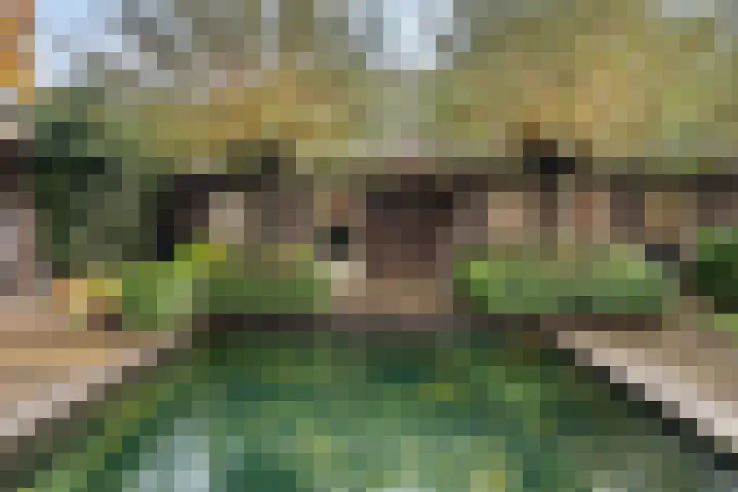 Het Aangelag 9 Bladel thumbnail 42