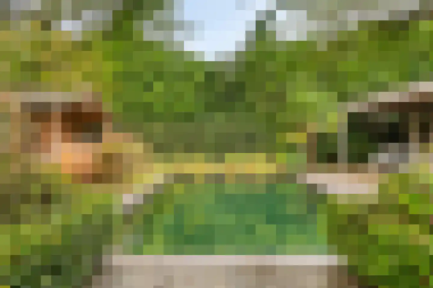 Het Aangelag 9 Bladel thumbnail 47