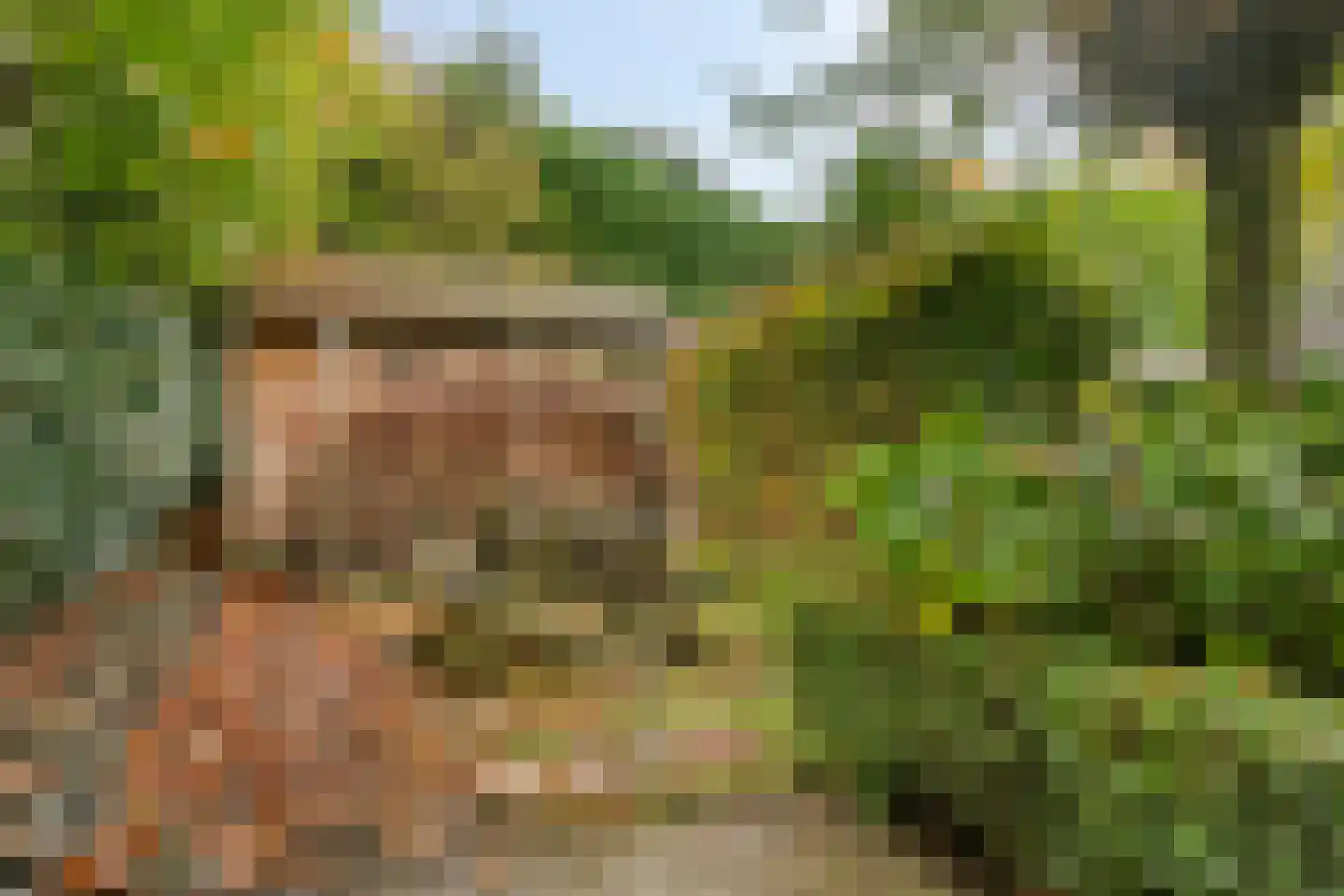 Het Aangelag 9 Bladel thumbnail 48