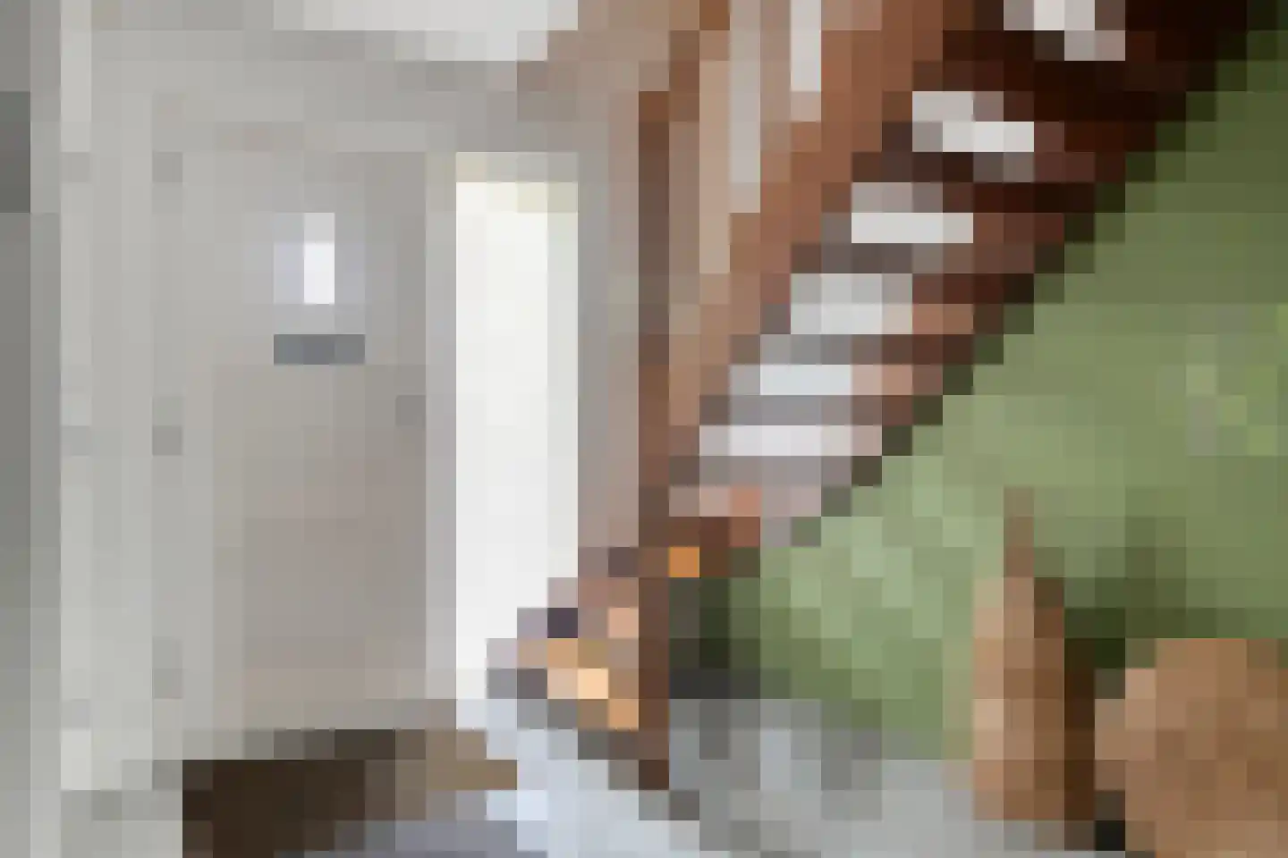 Het Aangelag 9 Bladel thumbnail 6