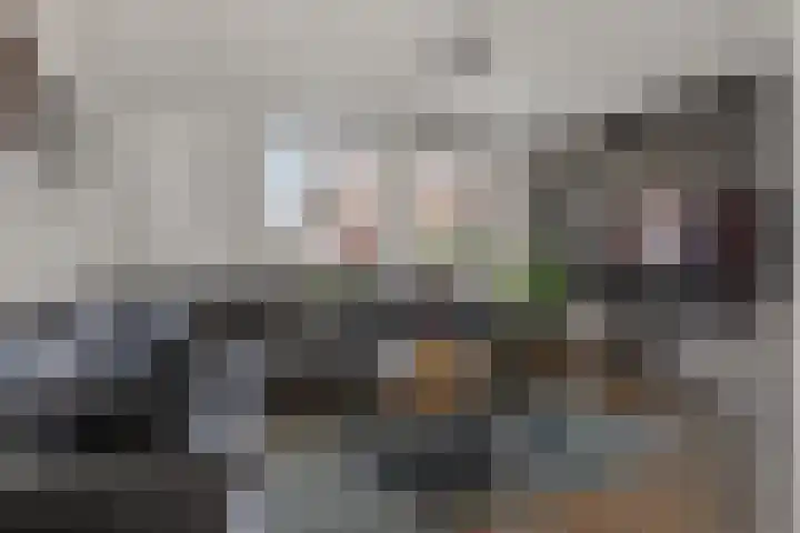 Het Aarkeland 39 Rossum thumbnail 10