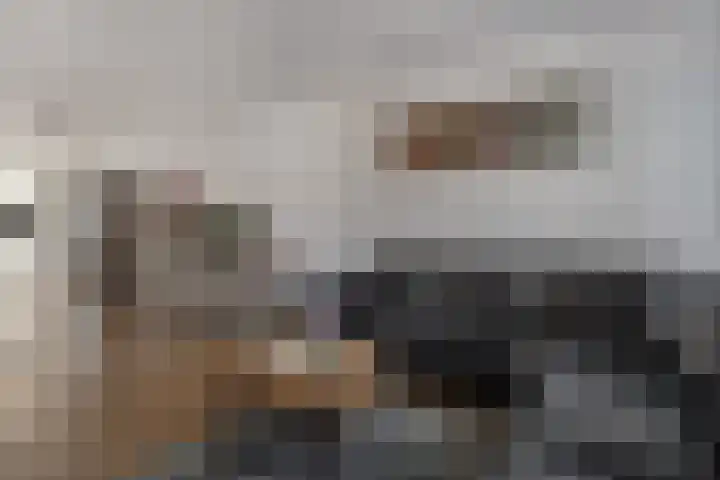 Het Aarkeland 39 Rossum thumbnail 11