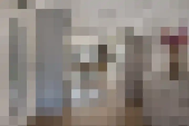 Het Aarkeland 39 Rossum thumbnail 12