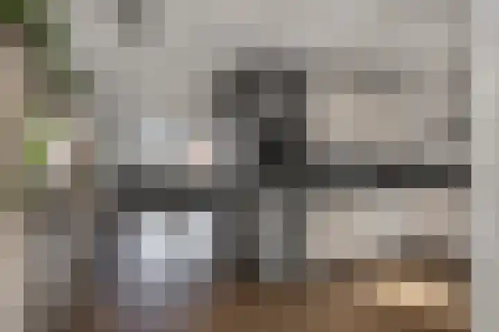 Het Aarkeland 39 Rossum thumbnail 13