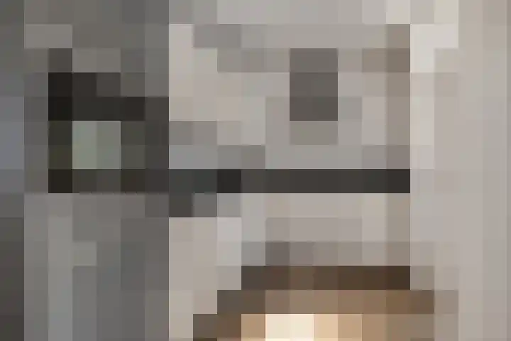 Het Aarkeland 39 Rossum thumbnail 14