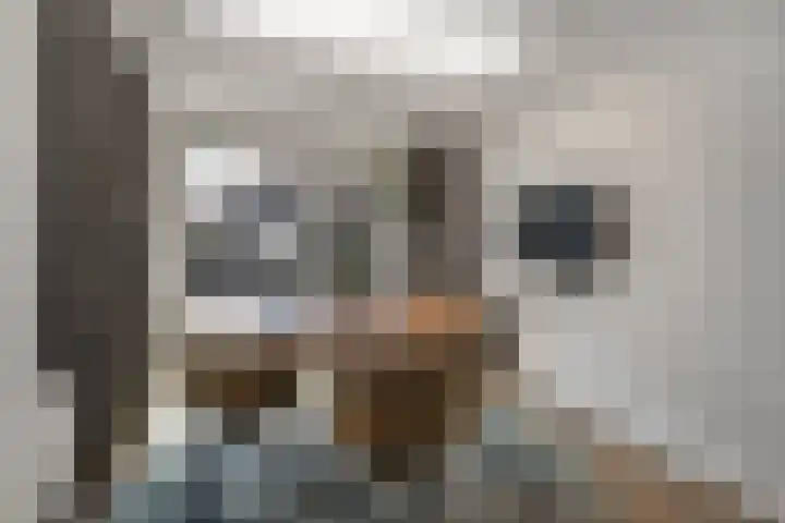 Het Aarkeland 39 Rossum thumbnail 15