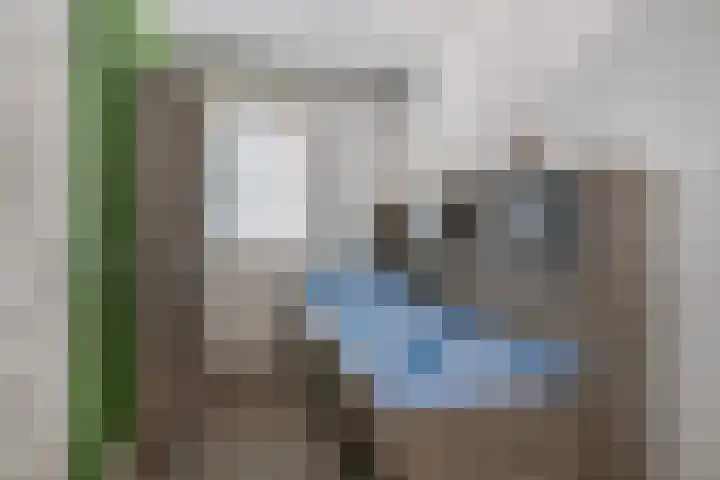 Het Aarkeland 39 Rossum thumbnail 18